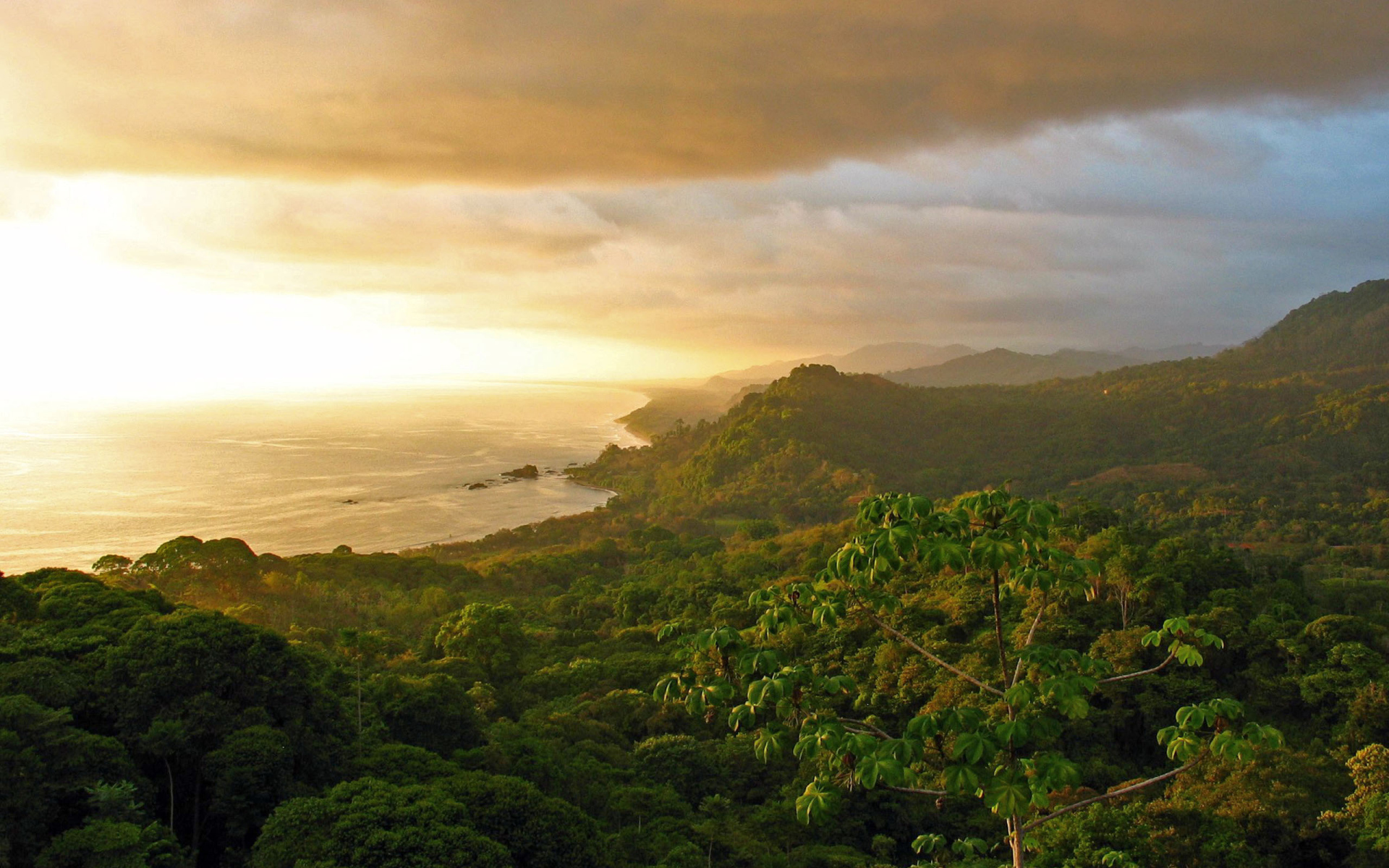 Канопи тур в Коста Рике.