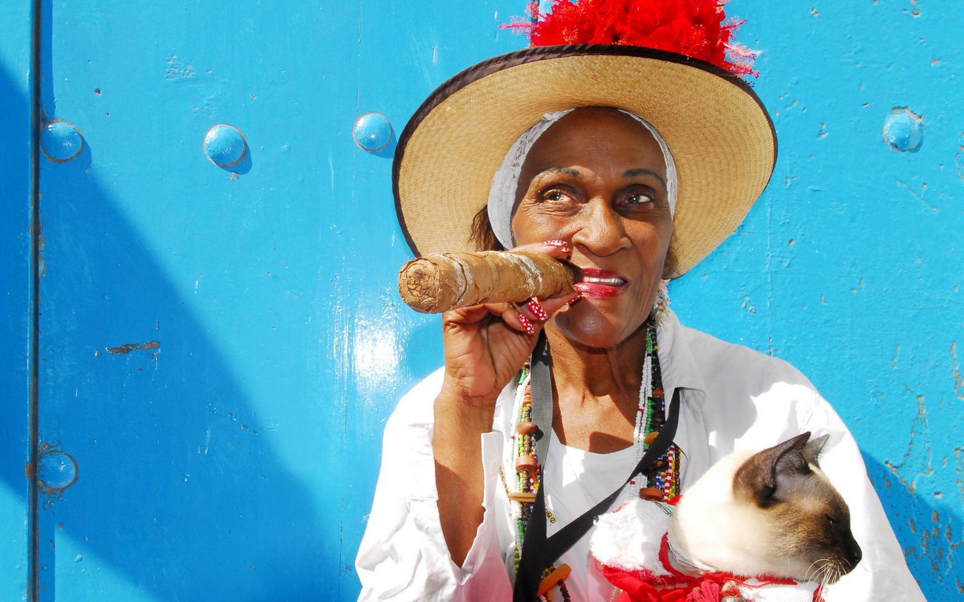 Бабушка с котом и сигарой