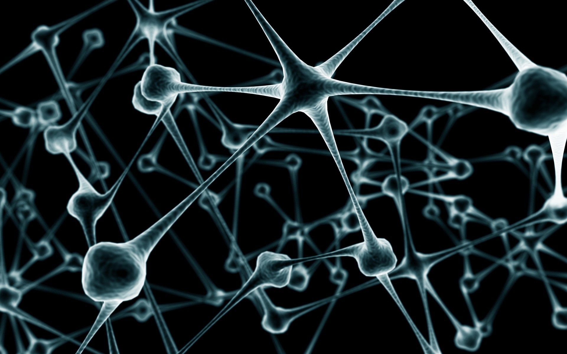 Связи нейронов в мозге