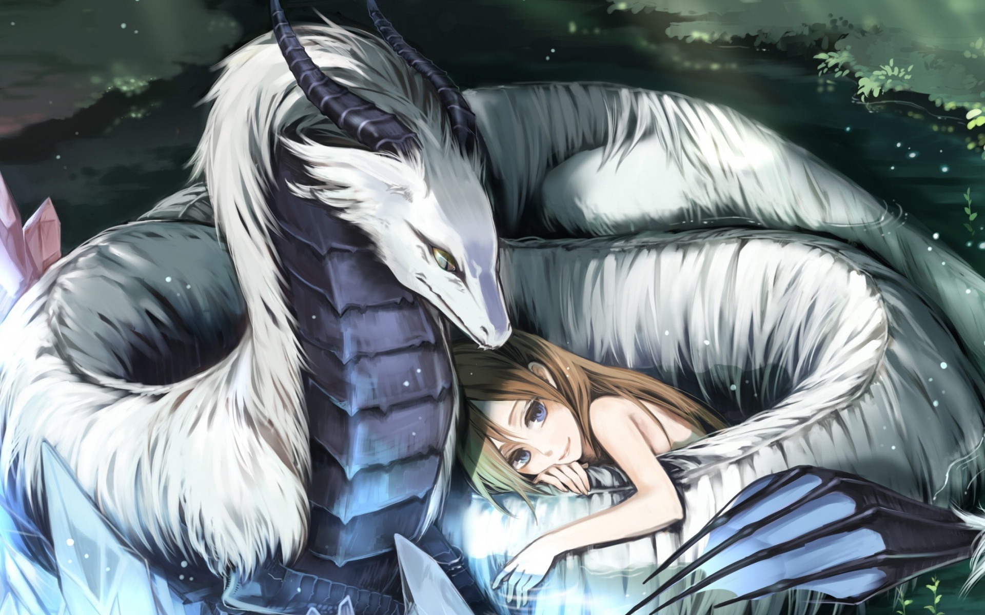 Девушка и белый дракон, аниме Pixiv Fantasia