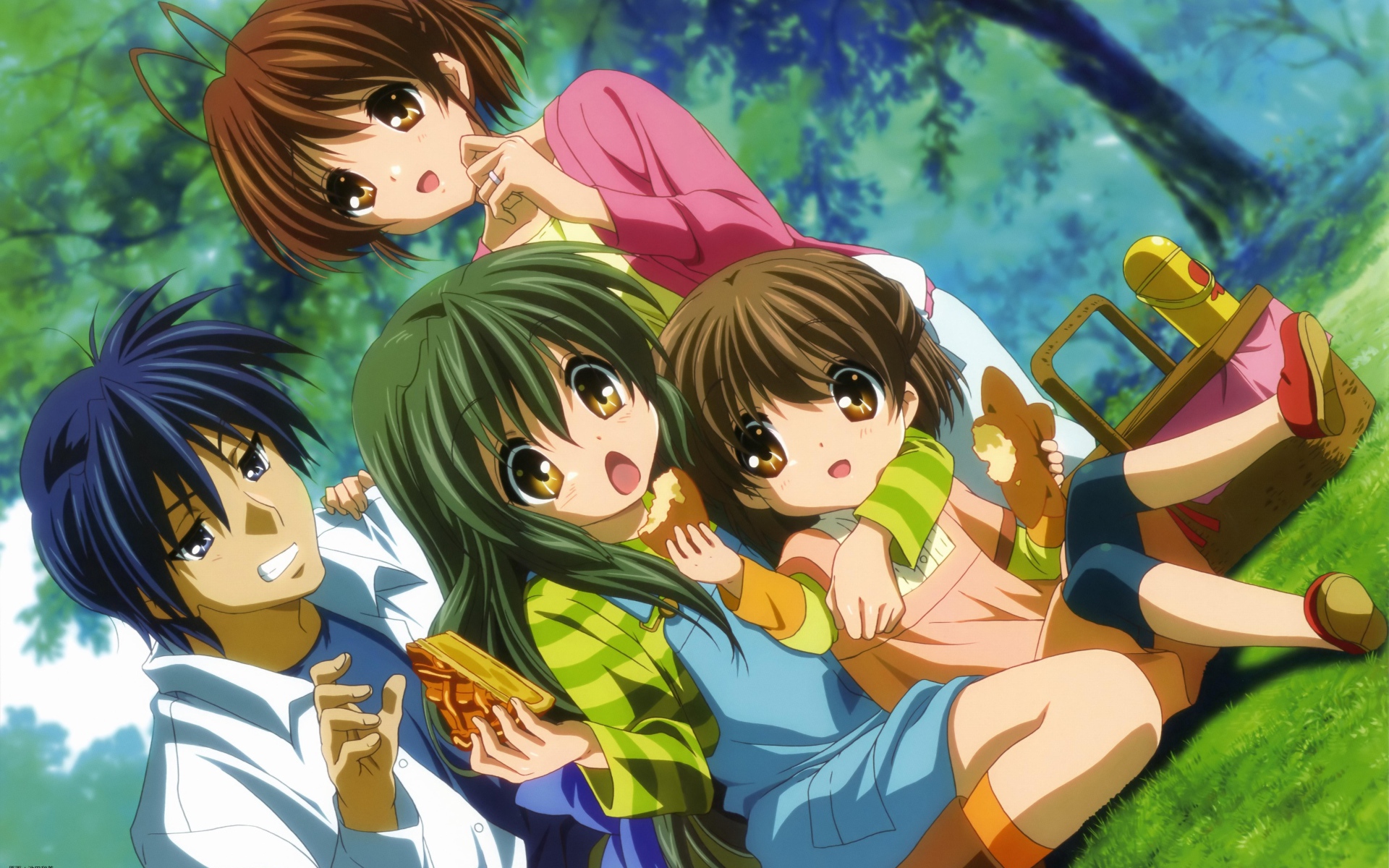 Пикник на газоне, аниме Кланнад