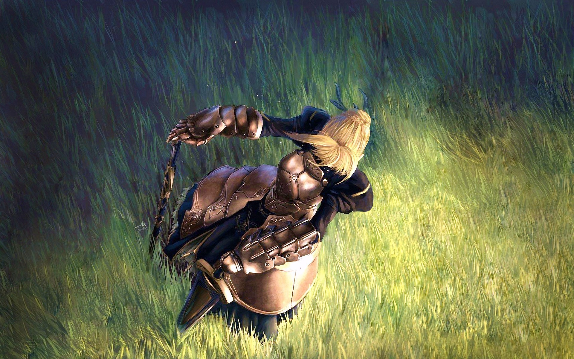 Тайп Мун в поле, аниме Ночь прибытия