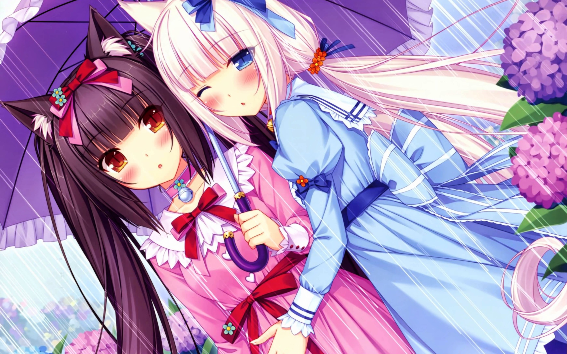 Две подружки под зонтом, аниме Neko Para