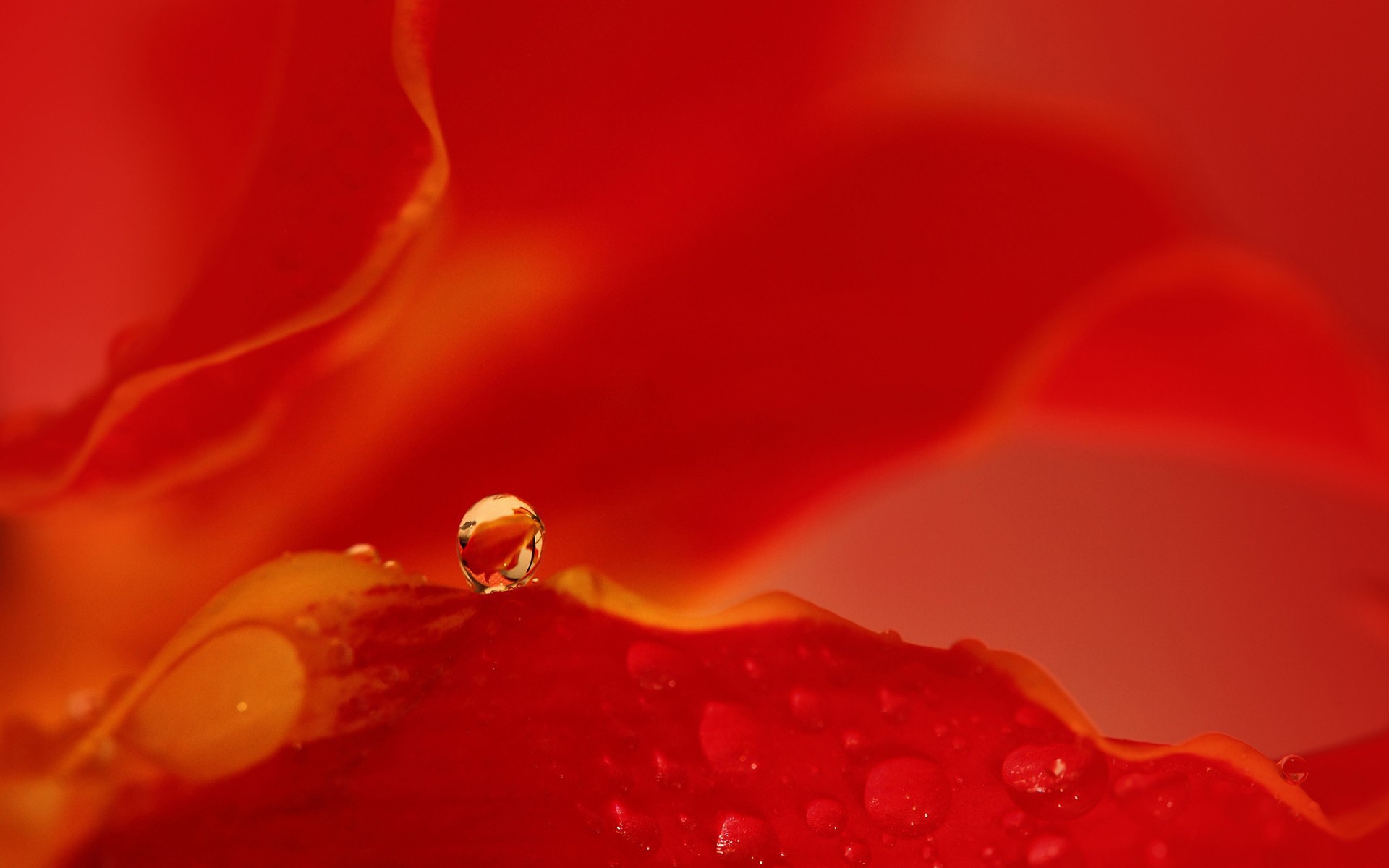 Капля воды на красном фоне