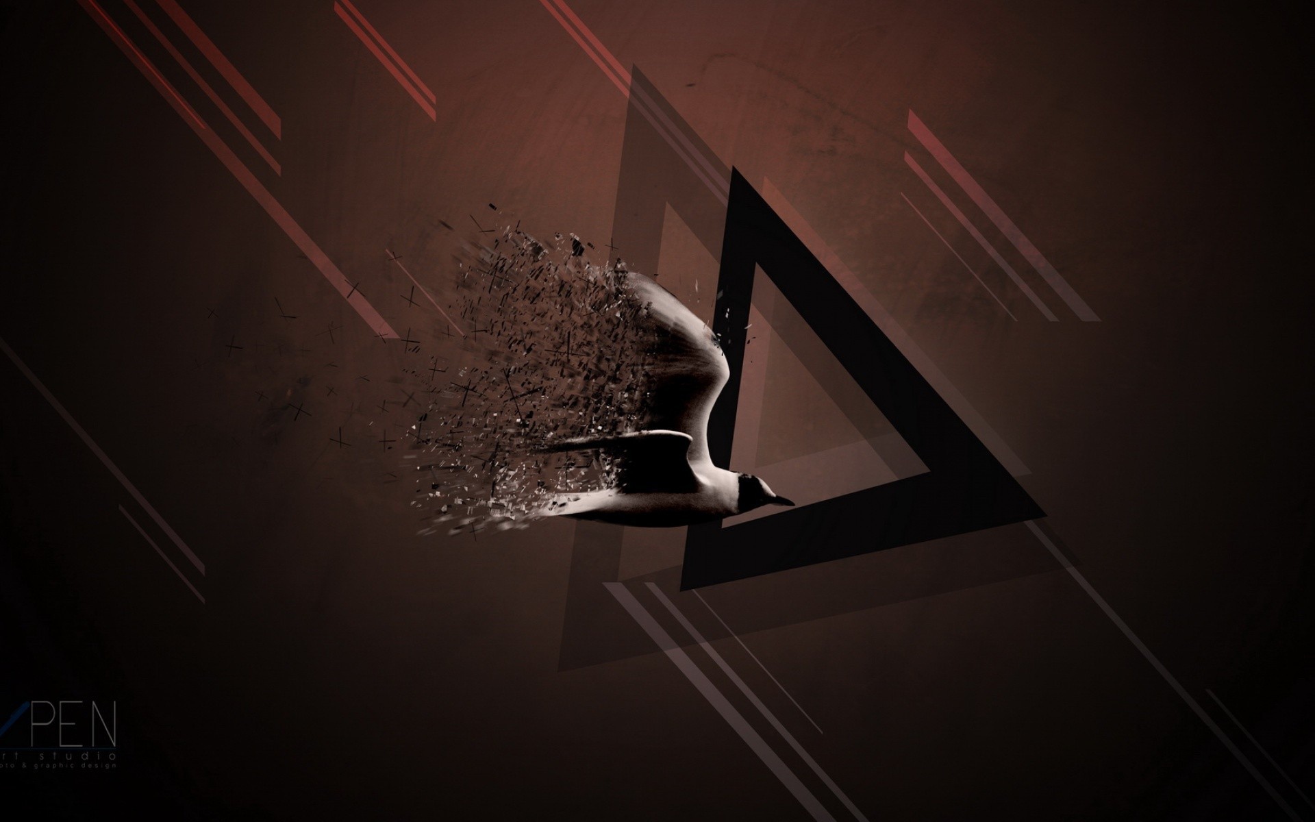 Птица и треугольник, коричневый фон