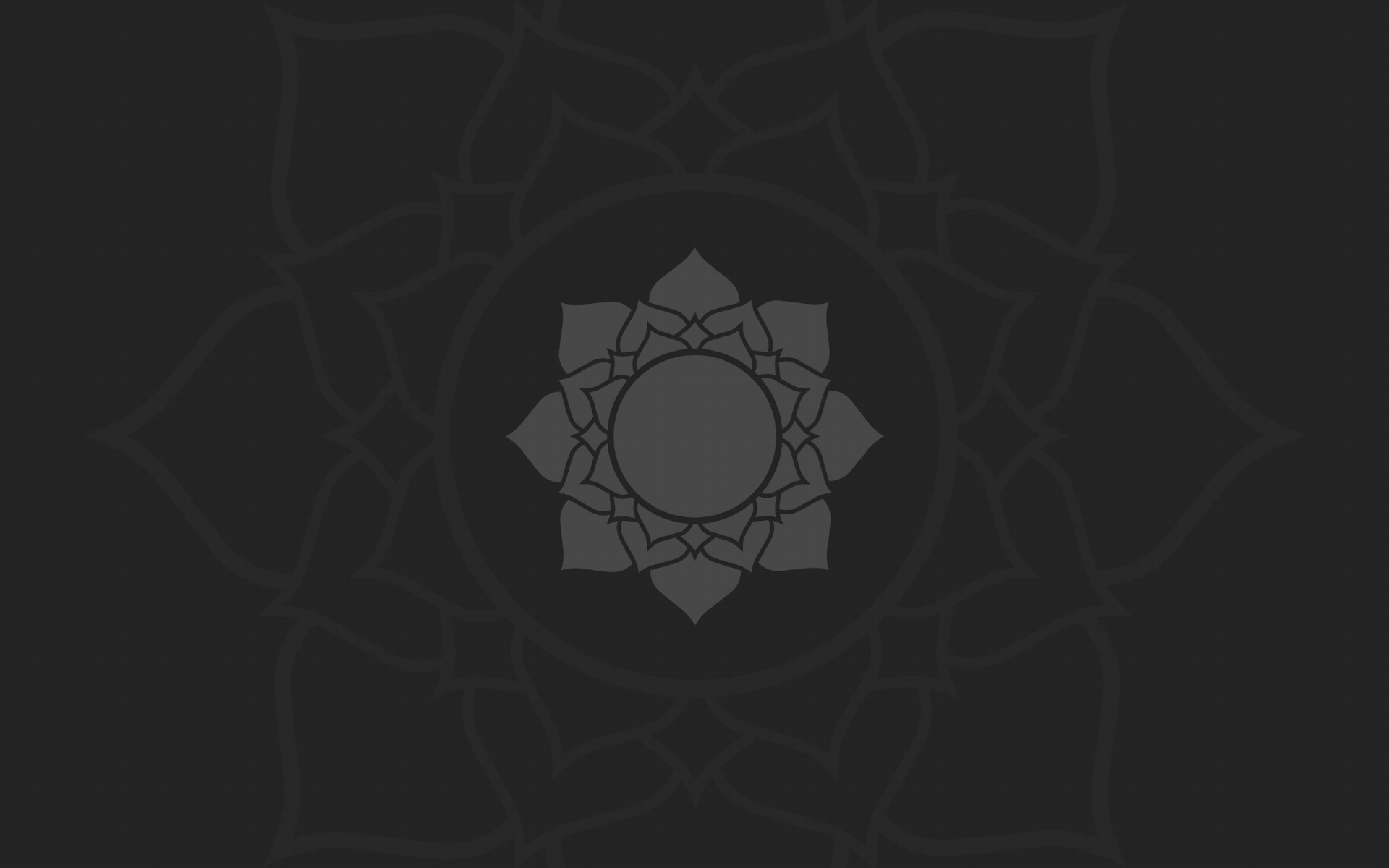 Цветок лотоса, темно серый фон