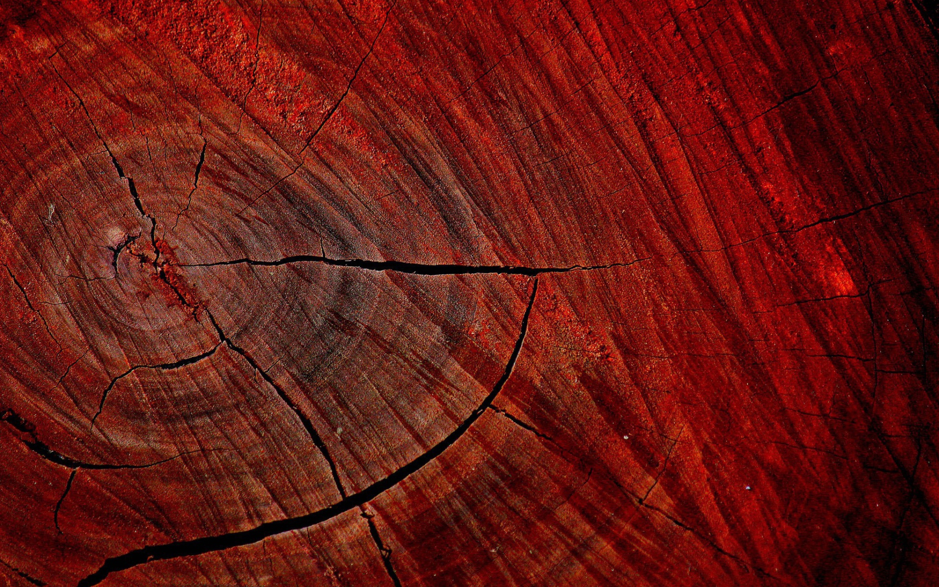 Красный спил дерева
