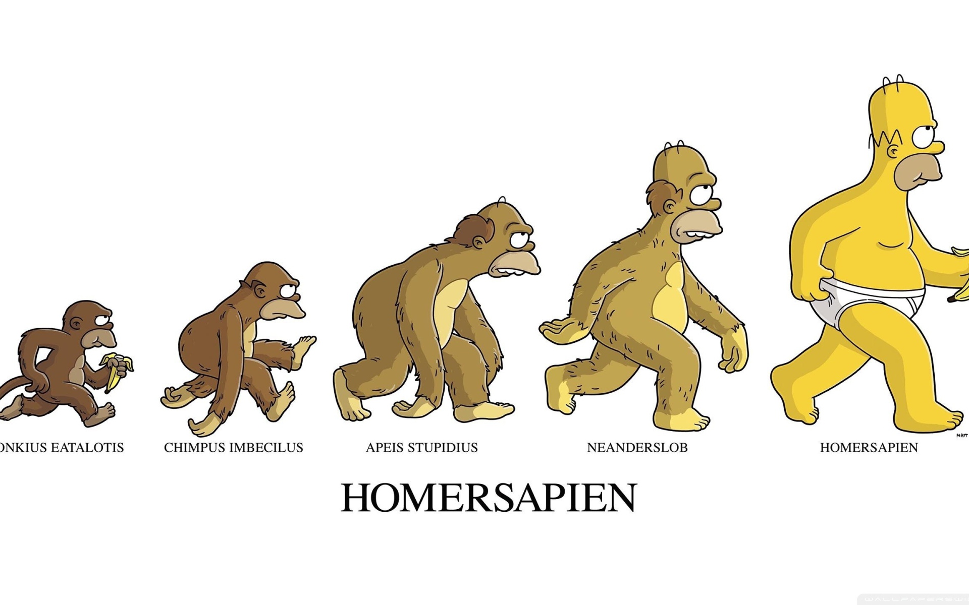 Эволюция Гомерсапиенса, мультфильм