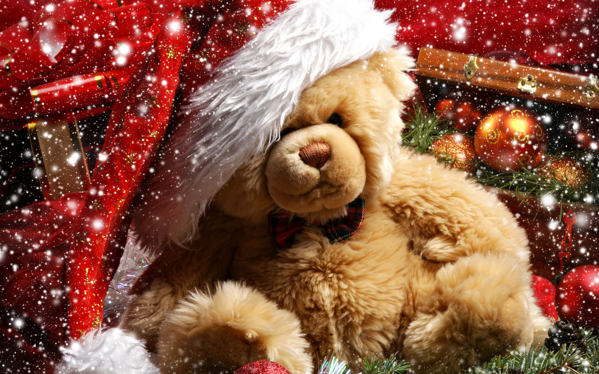 Teddy bear gift
