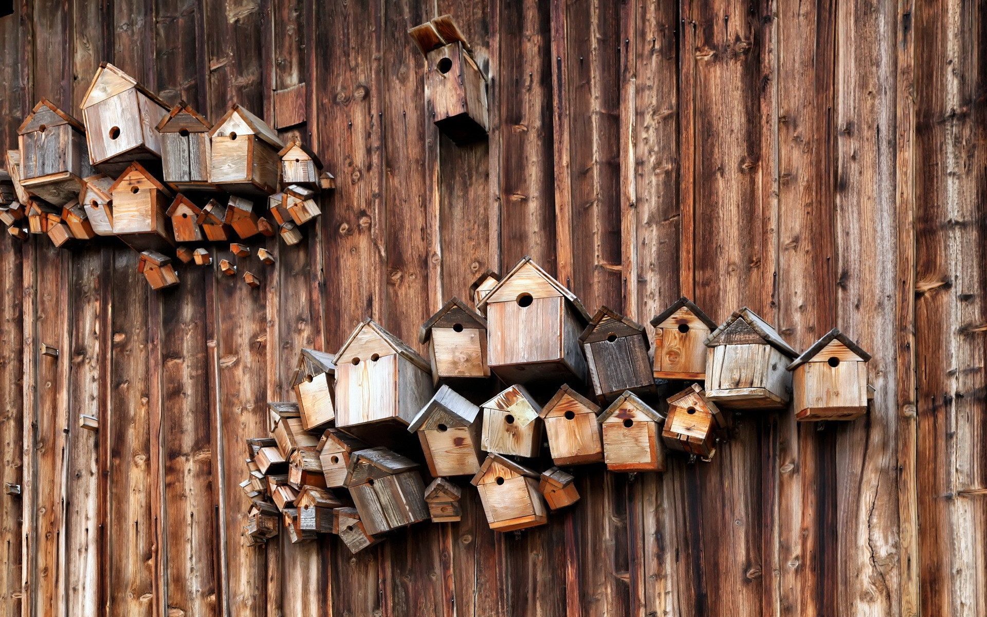 Скворечники на деревянной стене