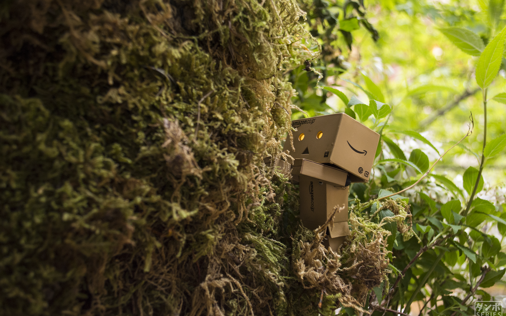 Дандо в японском саду