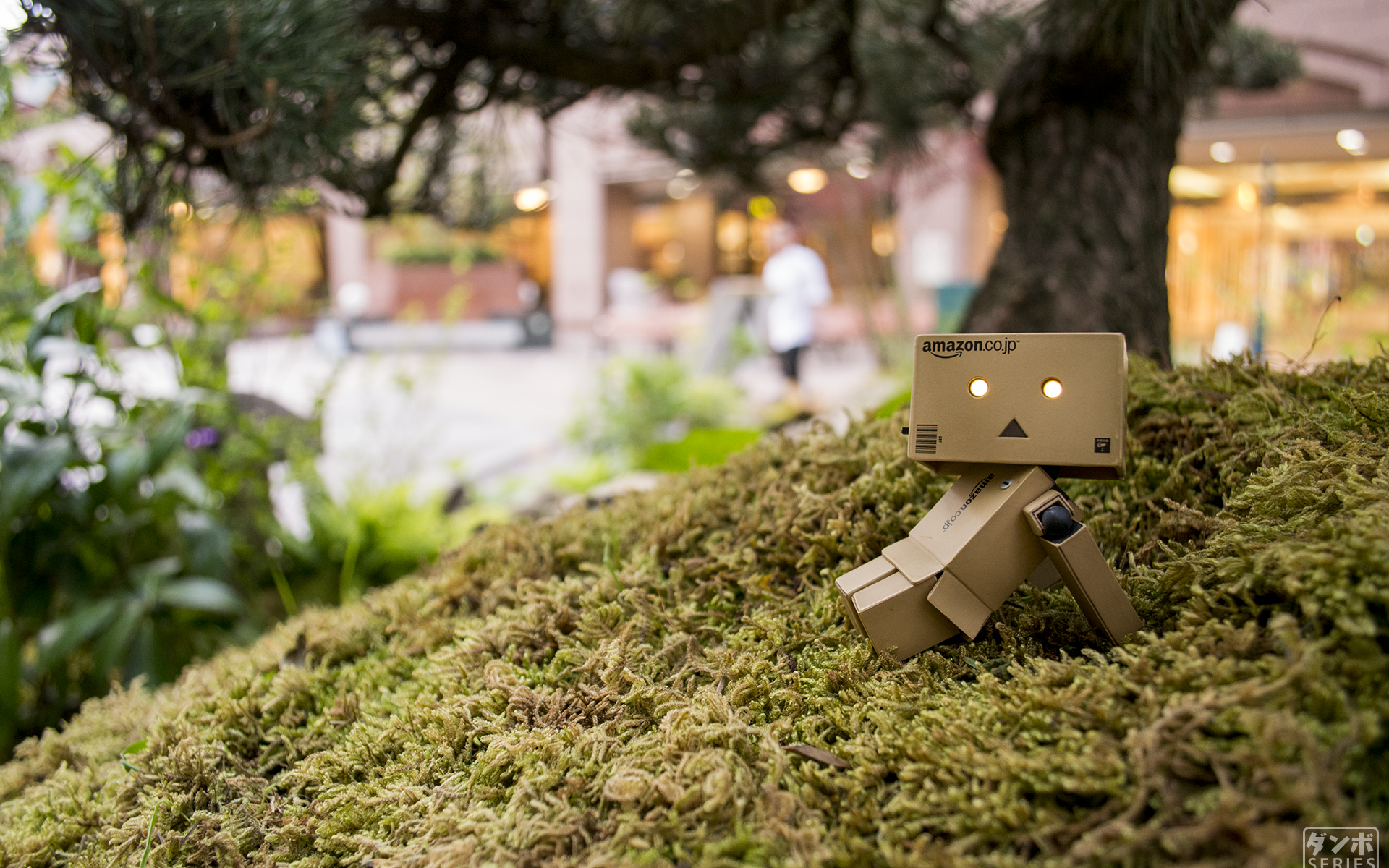 Японский Дандо на мху