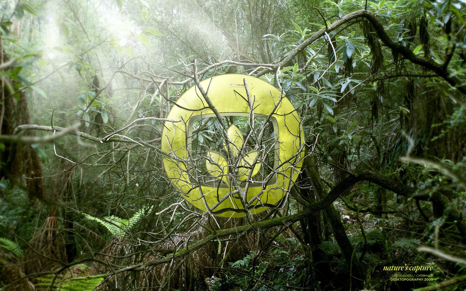 Символ лепестков на фоне зарослей