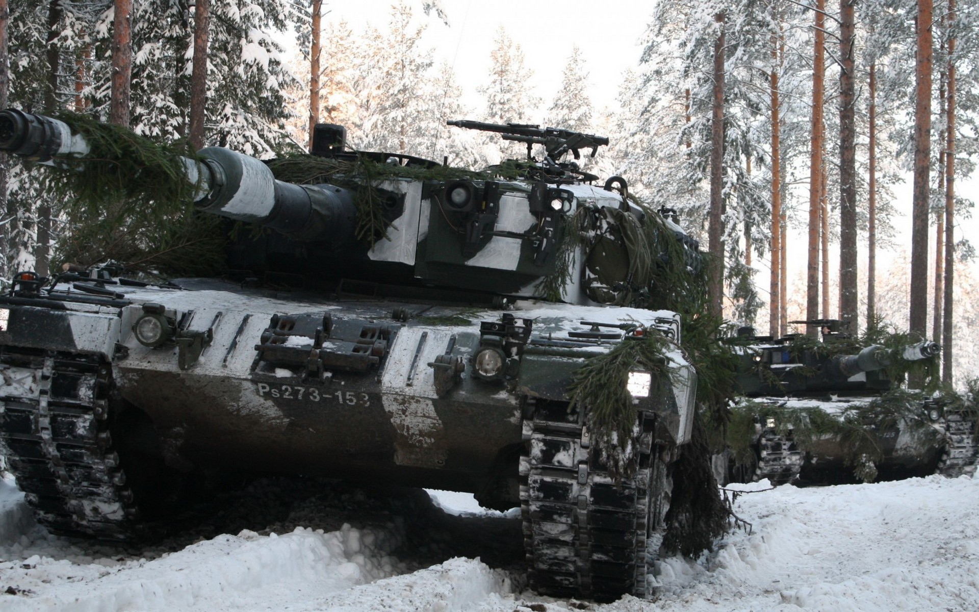 Танк в маскировке в лесу