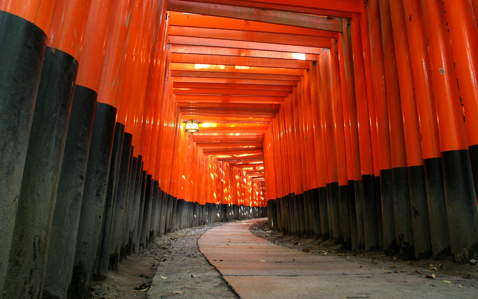 Коридор из оранжевых балок