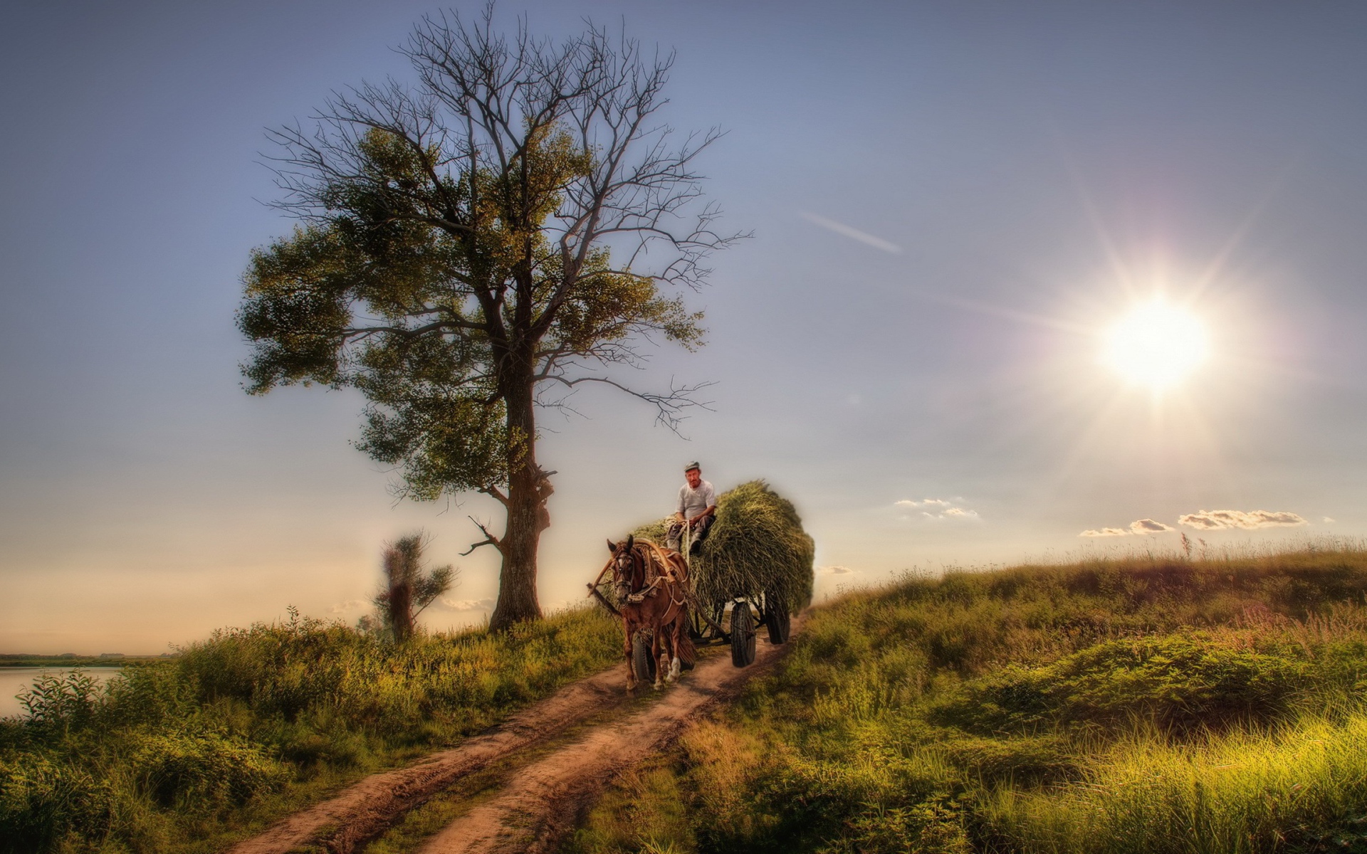 Крестьянин везет сено на телеге