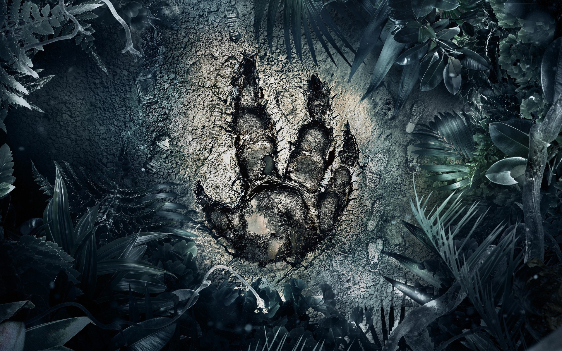 След загадочного зверя