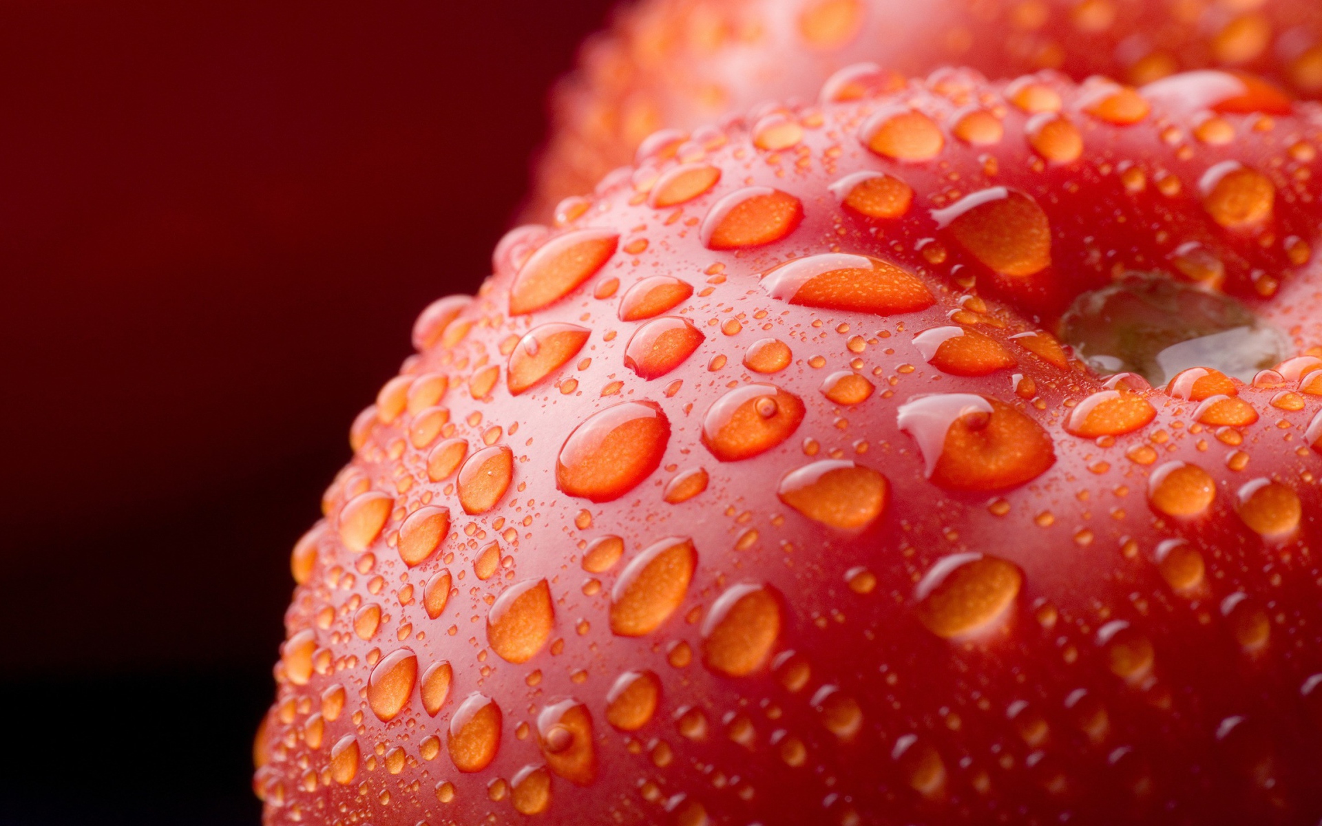 Мокрое красное яблоко