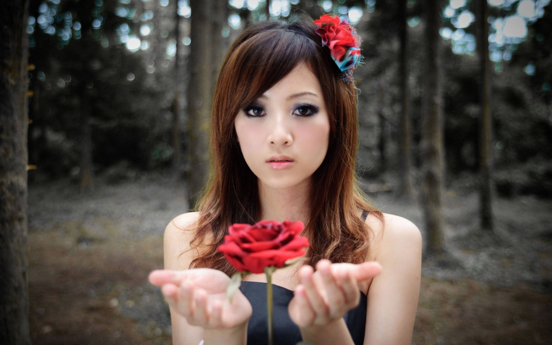 Роза парит в руках у девушки