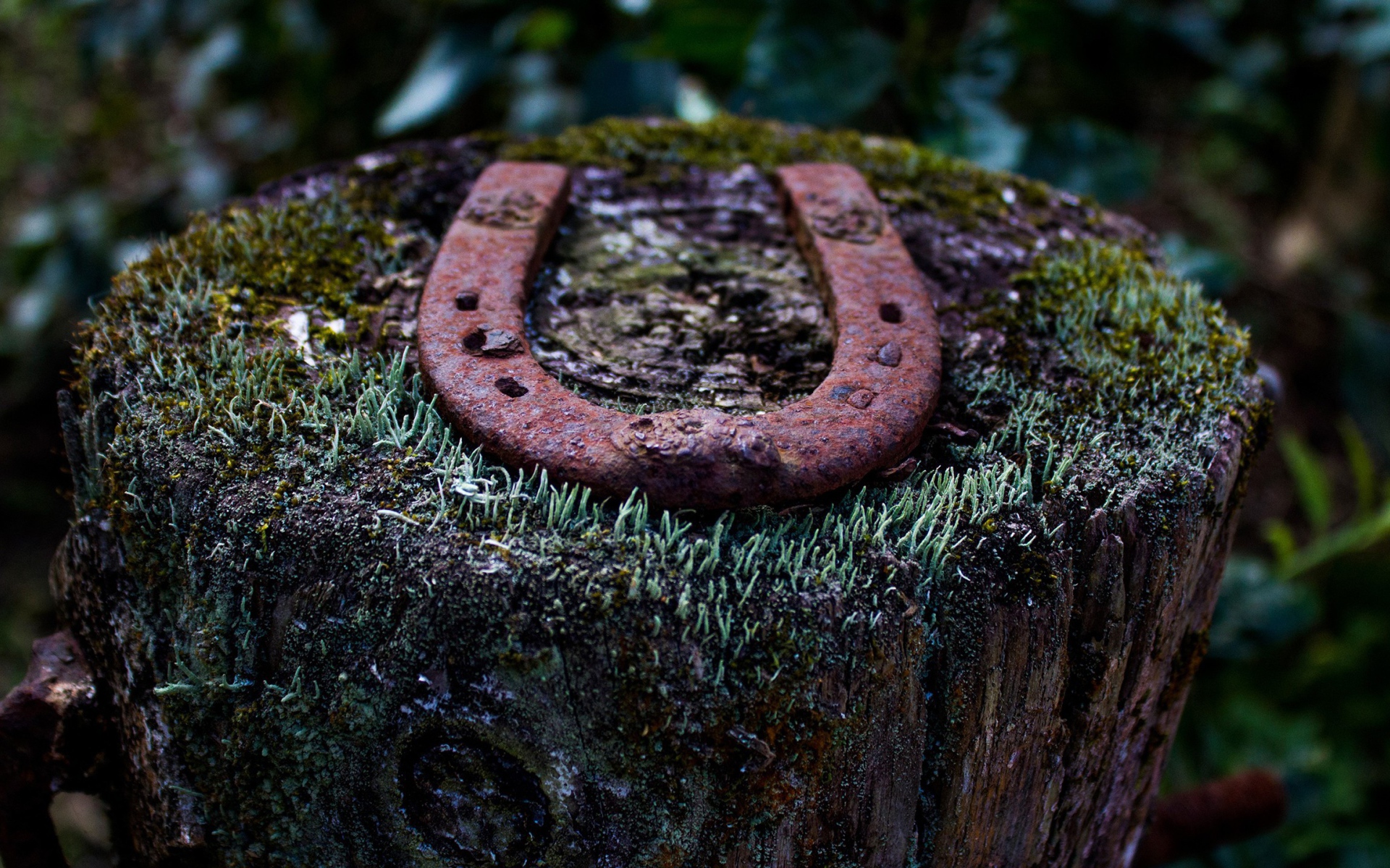 Ржавая подкова на пеньке