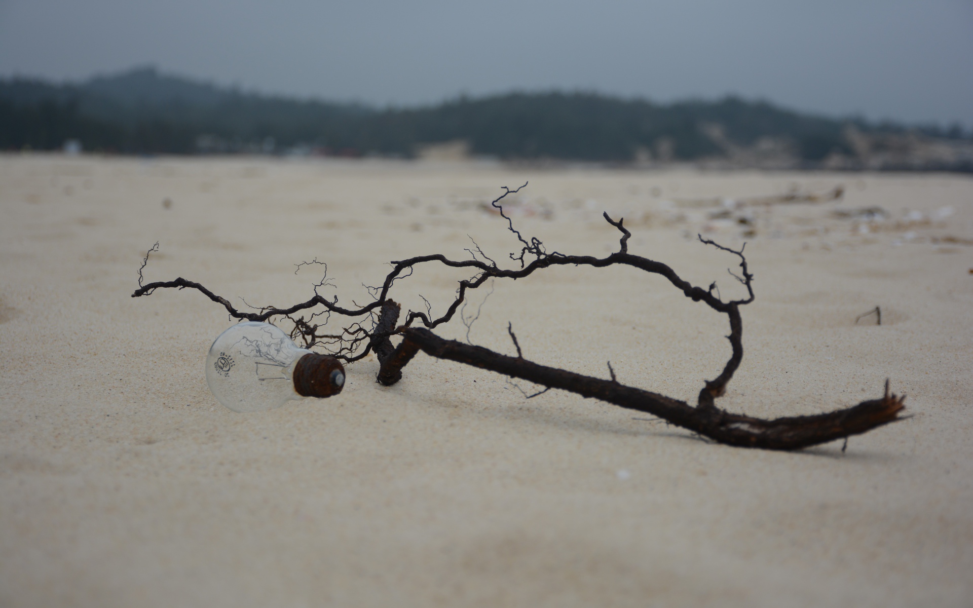 Черная ветка на белом песке