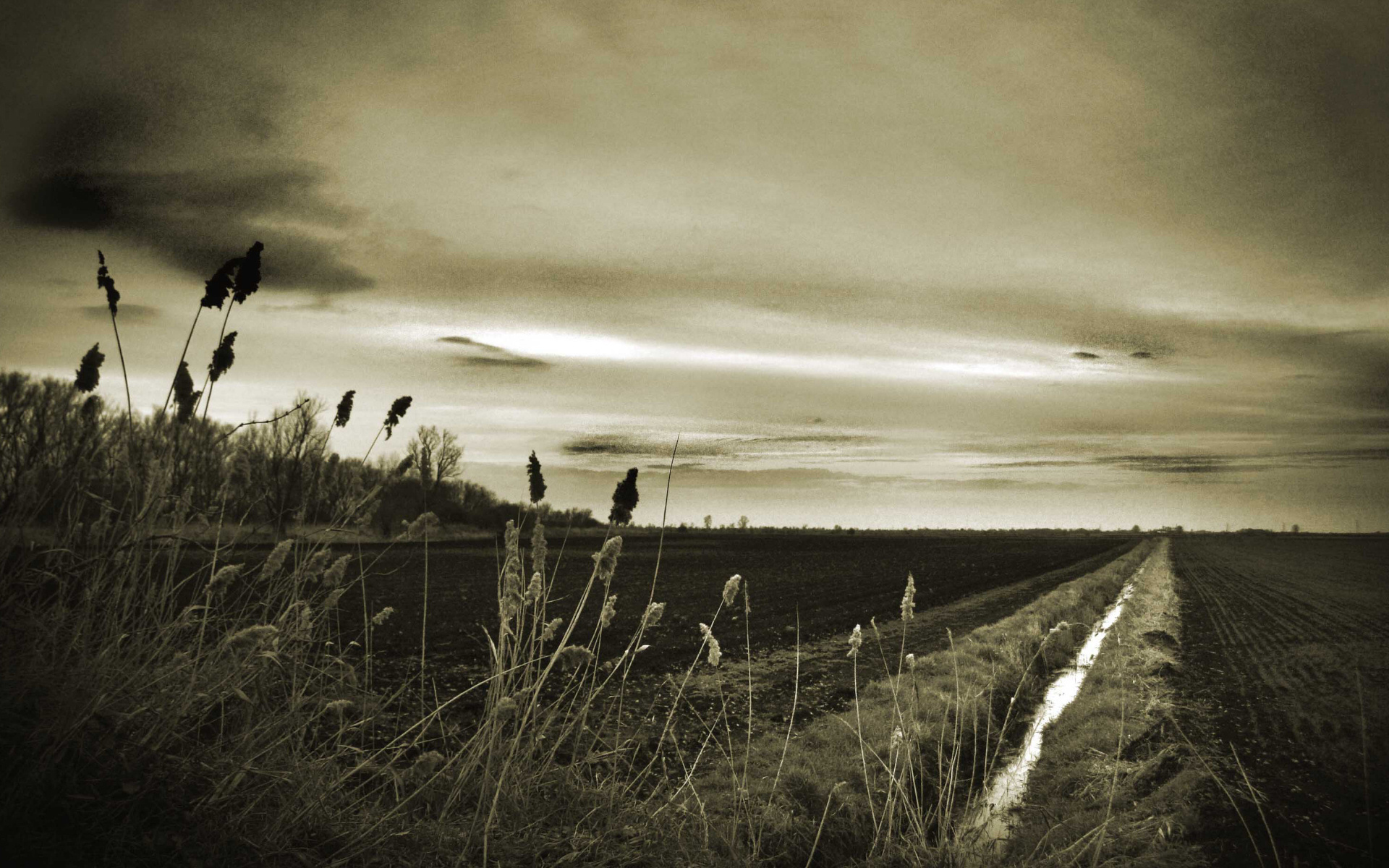 Оросительный канал