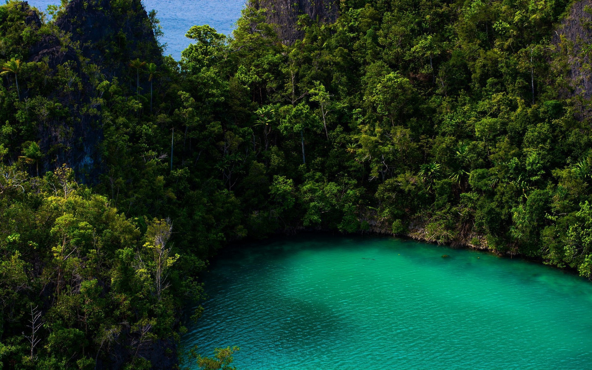 Бирюзовое озеро в тропическом лесу