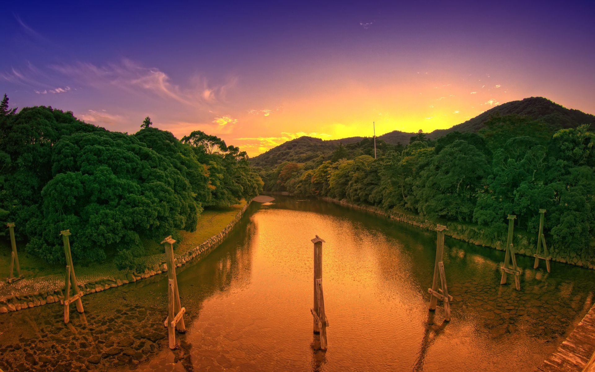 Деревянные столбы в канале