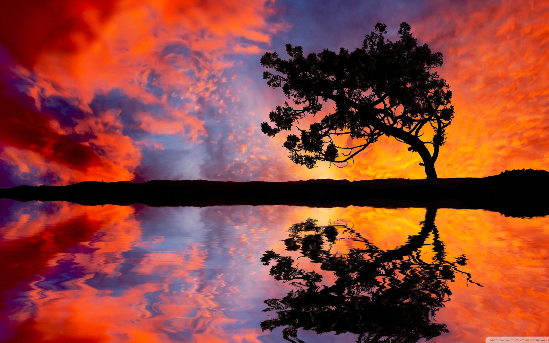 Силуэт дерева на фоне красных облаков