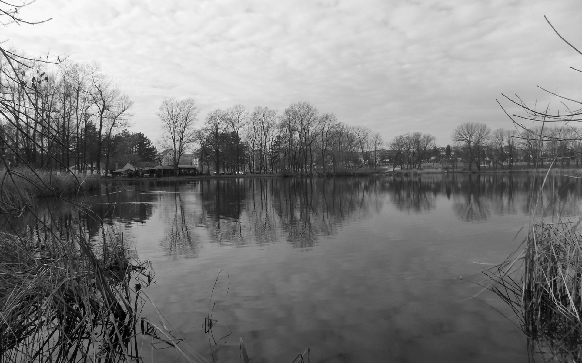 Черно белое фото озера в Сербии