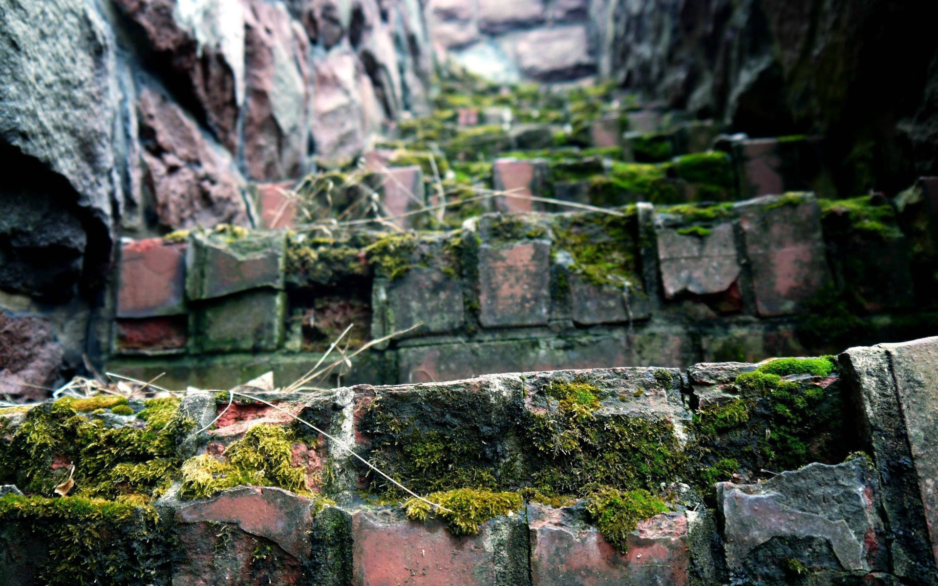 Поросшие мхом ступени