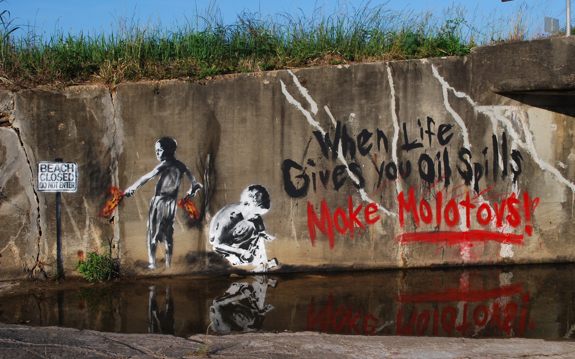 Когда жизнь разливает нефть делай коктейли молотова