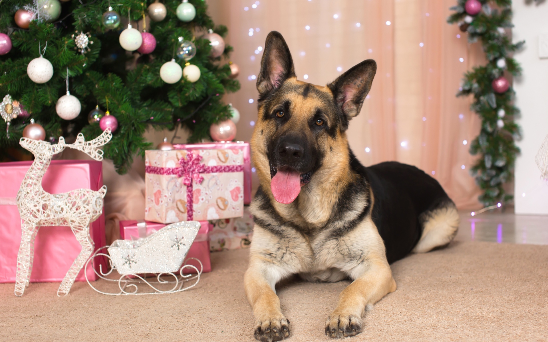 Немецкая овчарка с высунутым языком под елкой, С Новым 2018 годом собаки 