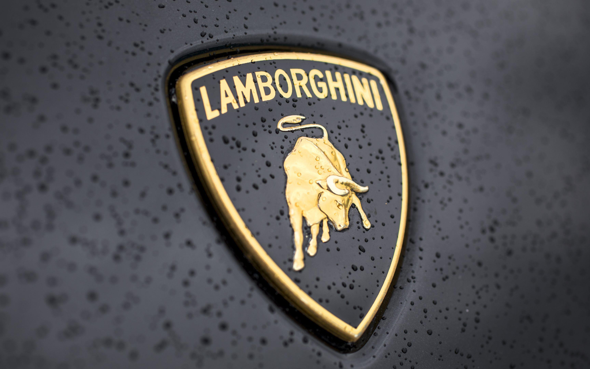 Логотип Lamborghini в каплях дождя крупным планом