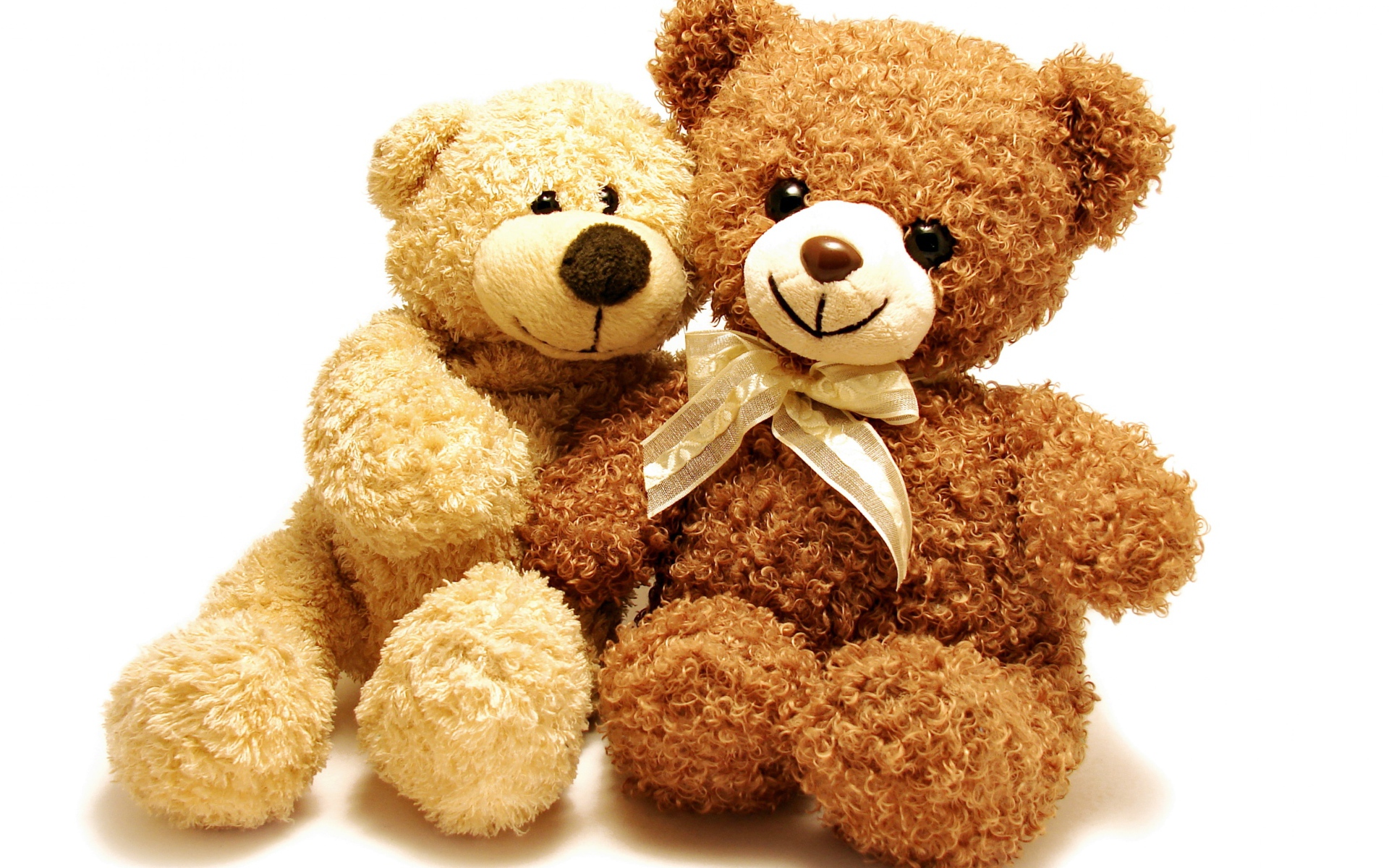 Два плюшевых медвежонка на белом фоне
