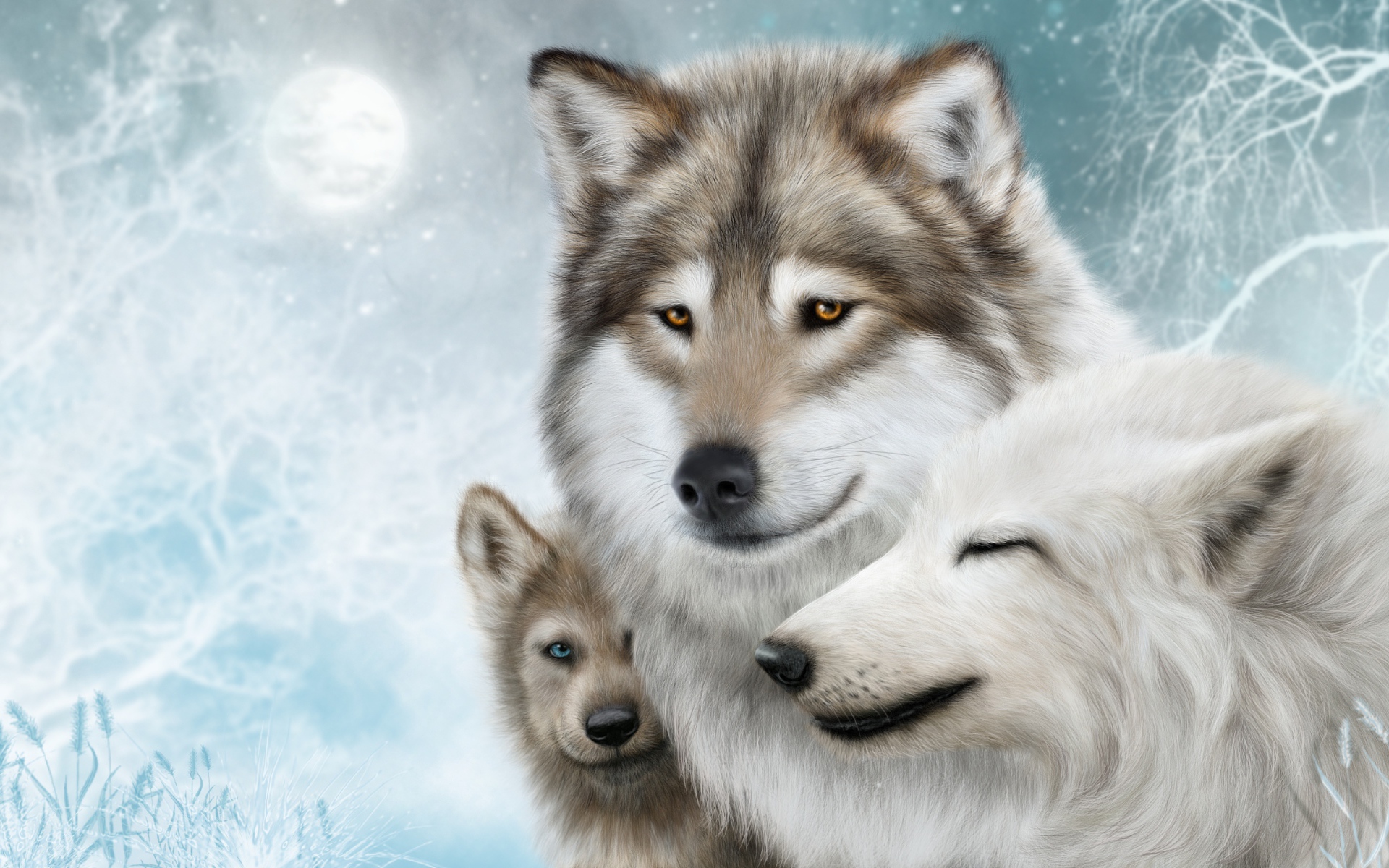 Family of three wolves in winter, drawing