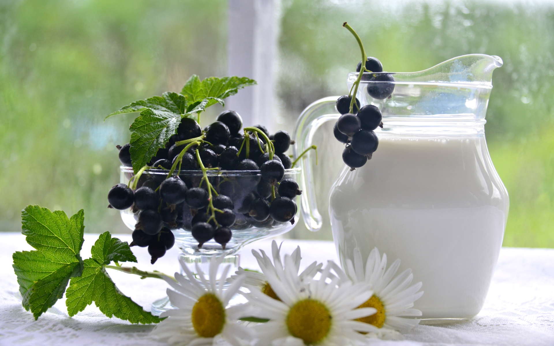 Молоко в стеклянном кувшине на столе со смородиной и ромашками 