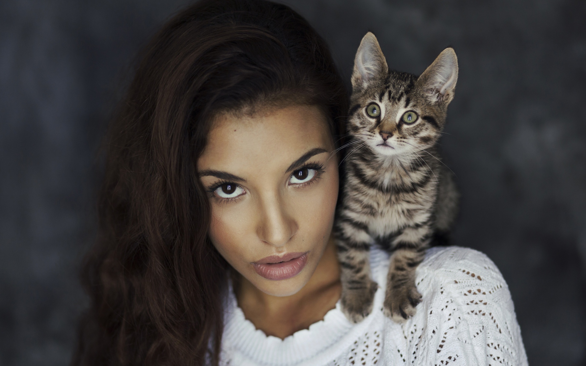 Красивая девушка с серым котенком на плече 