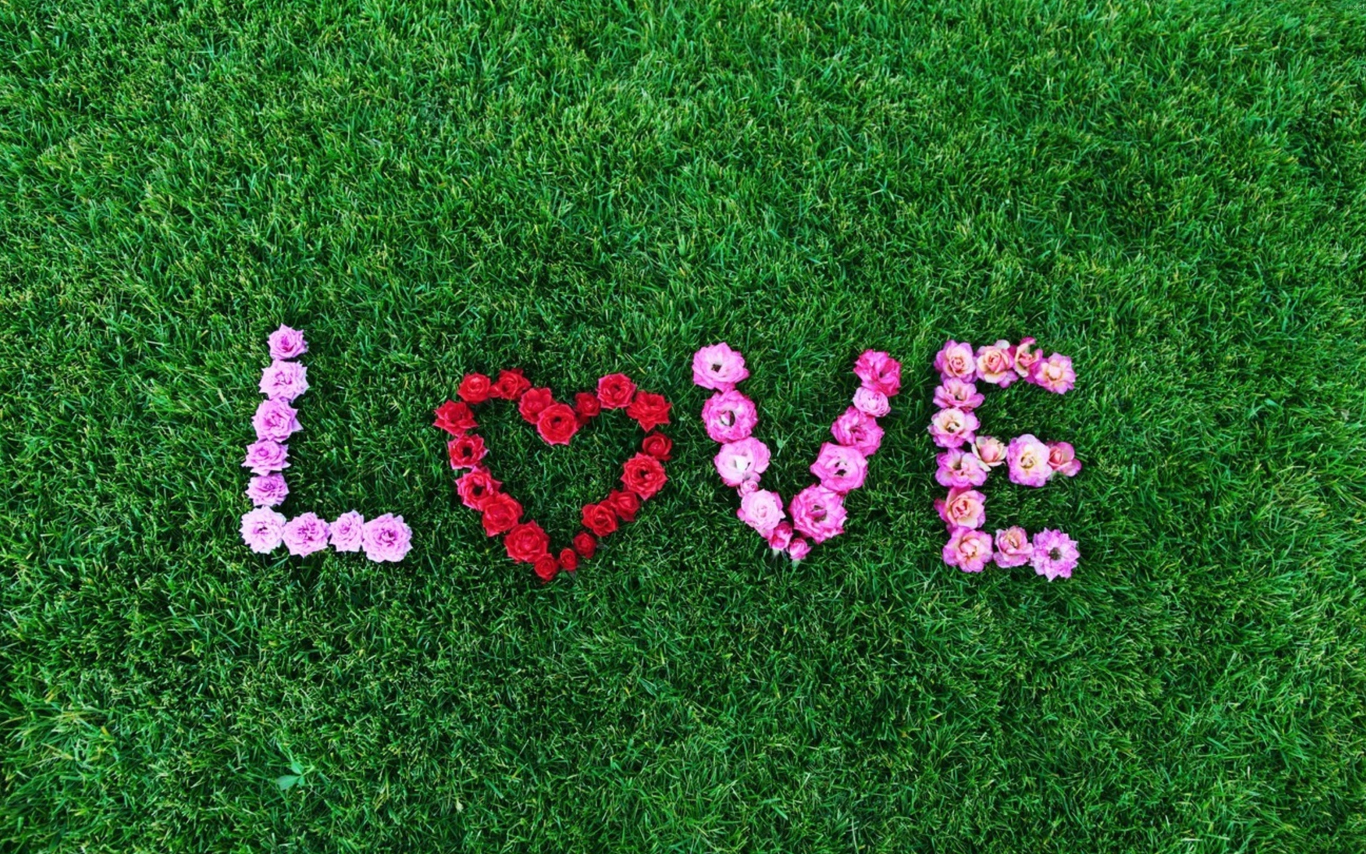 Надпись Любовь выложена из роз на зеленой траве