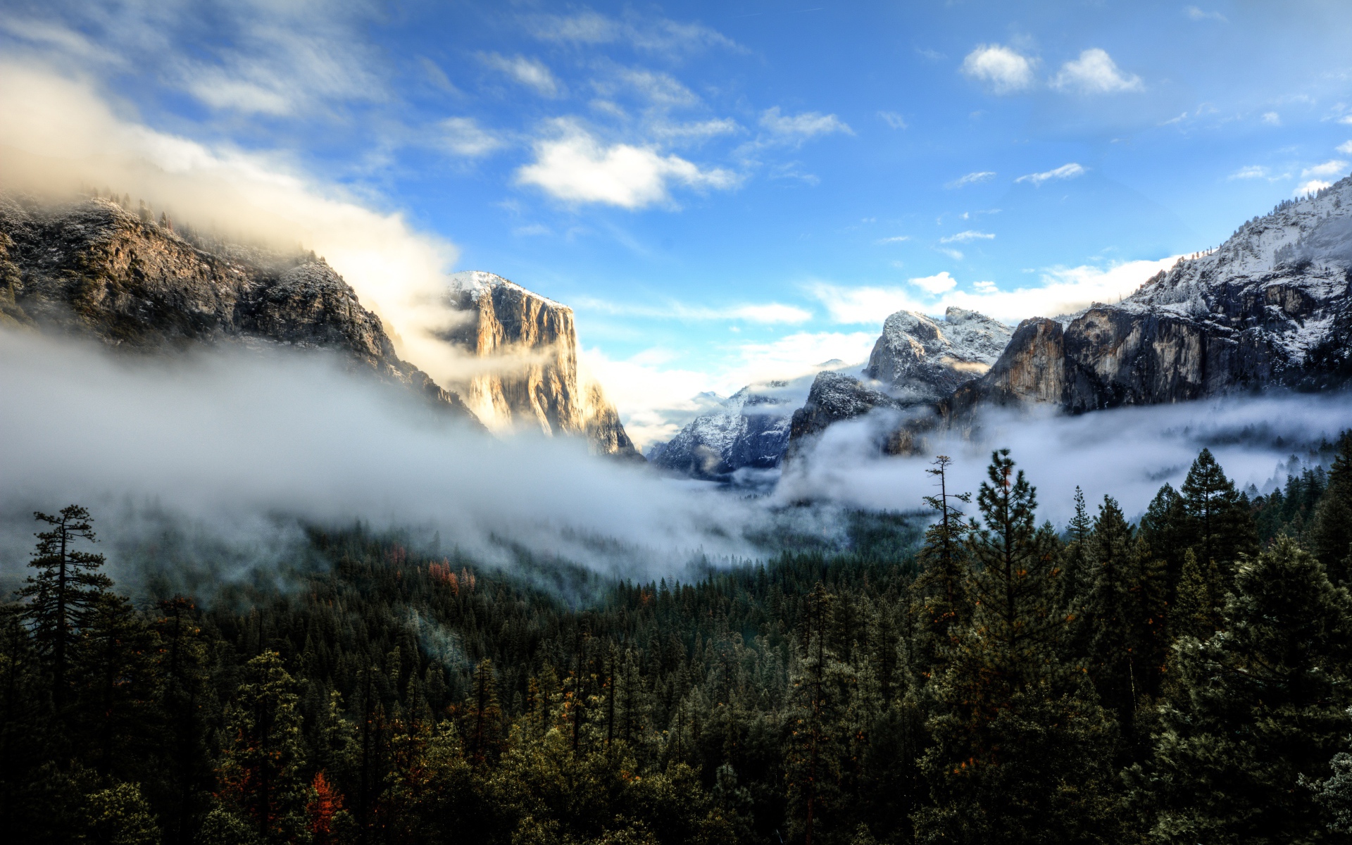 Белый туман покрыл вершины деревьев на фоне гор