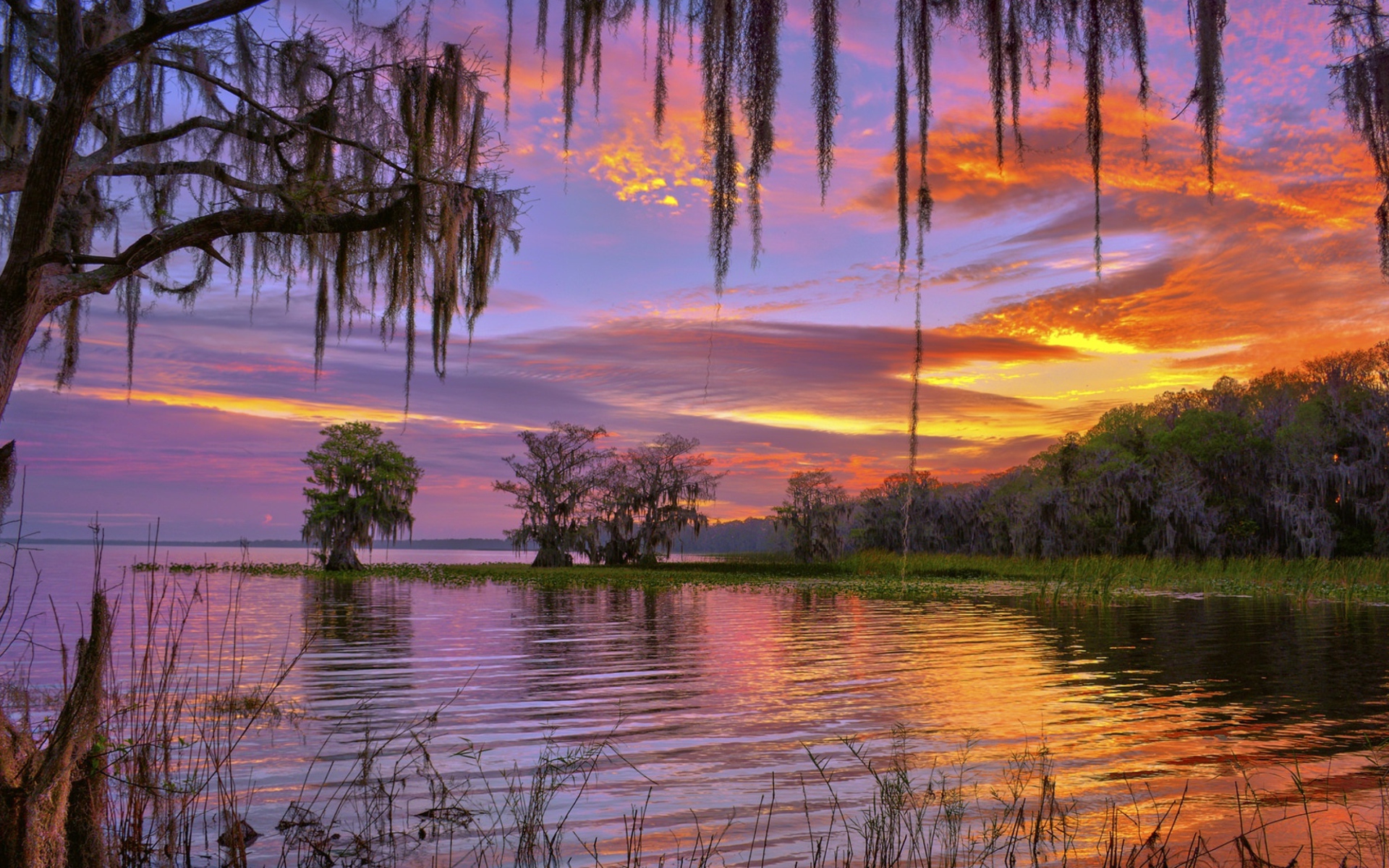 Красивое небо на закате над лесным озером