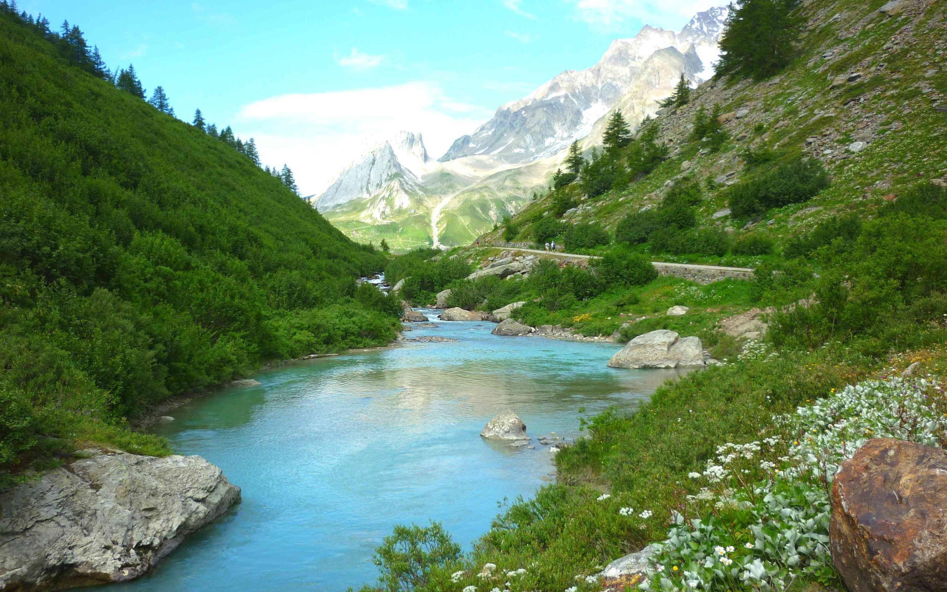 Горная река меж зеленых берегов 