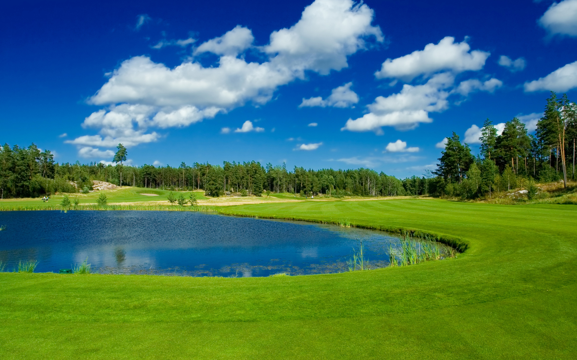 Пруд в парке у зеленого газона на фоне голубого неба