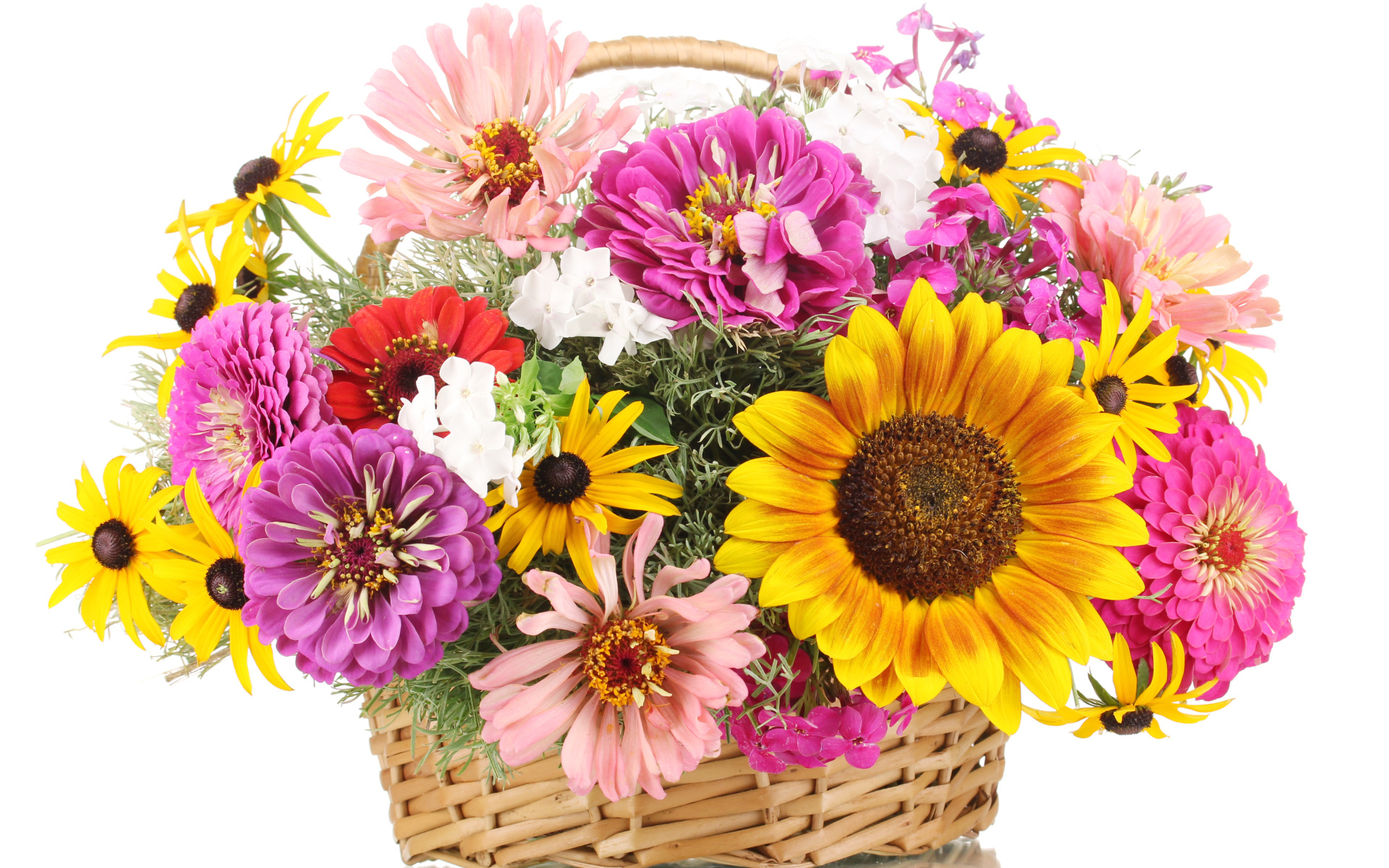 Букет цветов цинии, рудбекии и подсолнуха в корзине на белом фоне