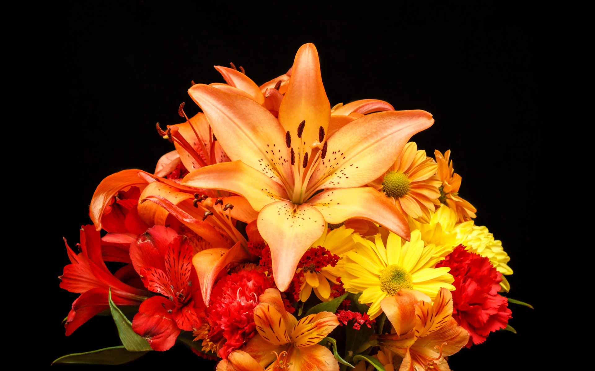 Букет разноцветных лилий на черном фоне 