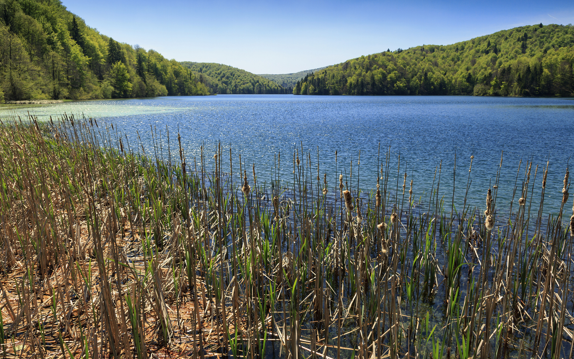 Вид на озеро и лес в Национальном парке Плитвицкие озёра, Хорватия
