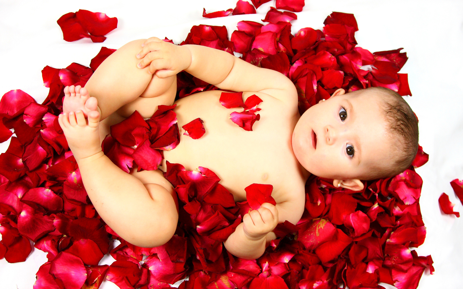 Милый грудной ребенок лежит на лепестках розы на белом фоне