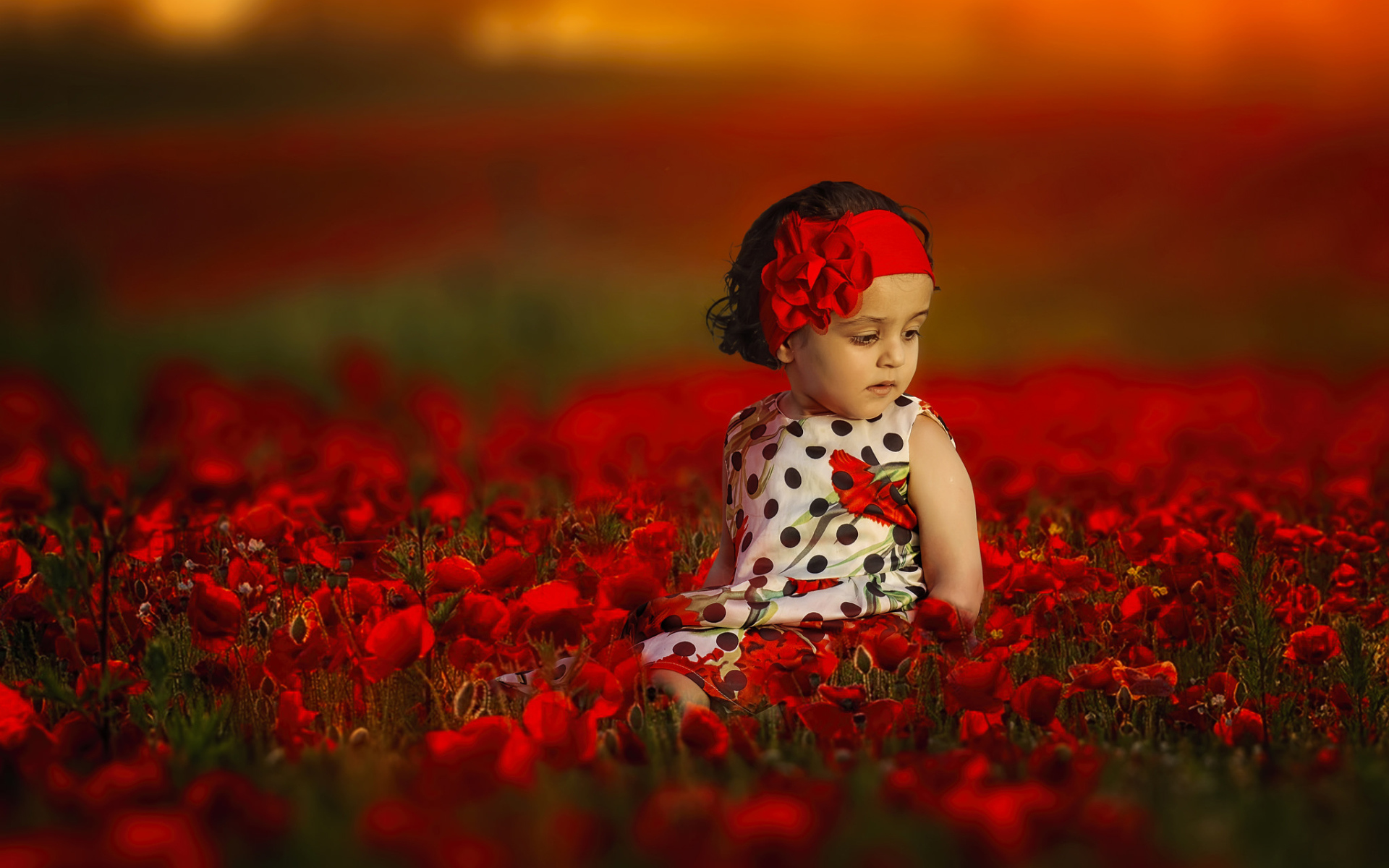 Маленькая девочка сидит в поле с красными маками