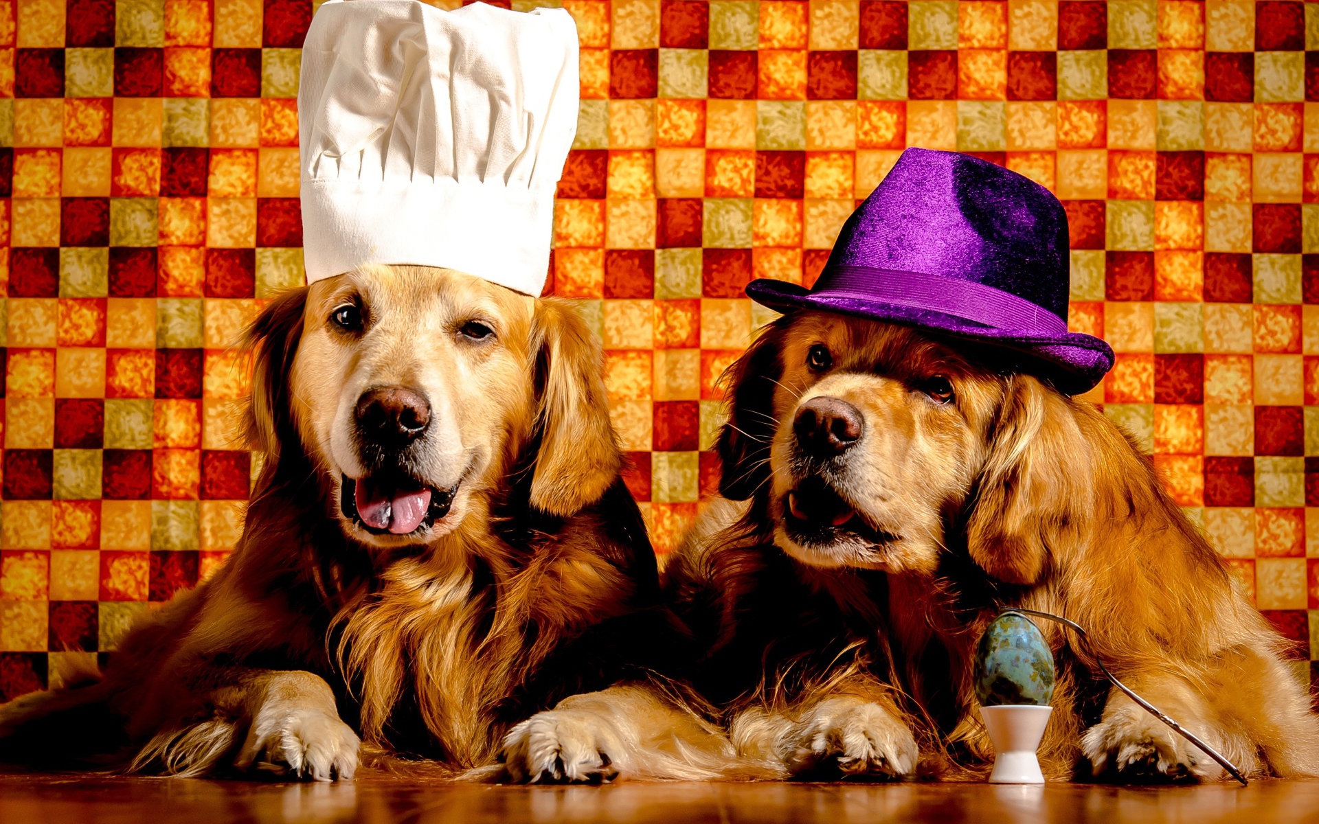 Два забавных золотистых ретривера в шапках