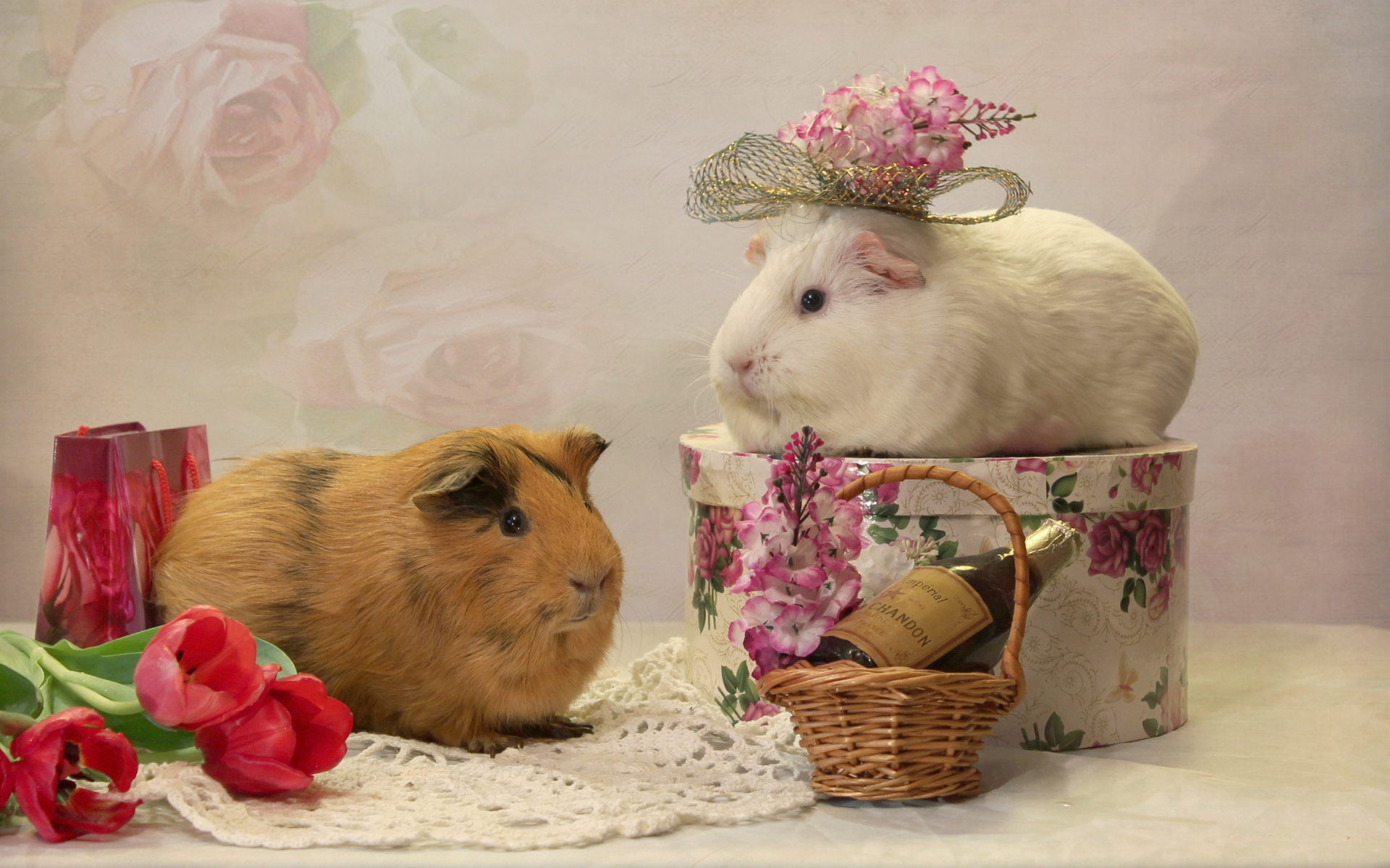 Две морские свинки с цветами